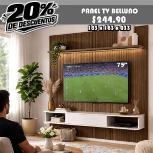 PANEL TV BELLUNO
